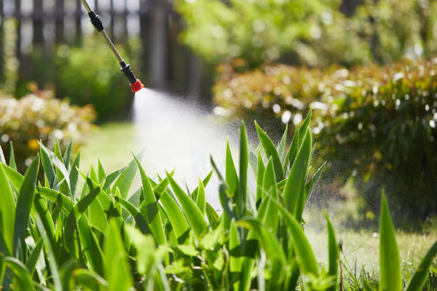 24/7 Emergency Cockroach Control experts in Parsons, TN